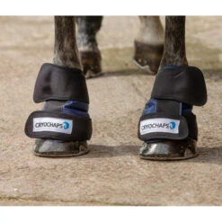 Cryochaps Absolute Ice Wrap Pair Pastern/Hocks/Knees