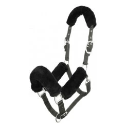 LeMieux Comfort Head Collar -Sabandar Store e3ee476bbf2ea9fa5167a404cc939350.image .1200x1200 1835d706 41bb 4e33 aac6 a510057373ac