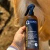 Equidae SHINE & FOCUSSED 3in1 Detangler - 500ml -Sabandar Store equidae shine focussed 3in1 detangler 500ml vivarchie equestrian