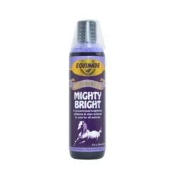 Equinade Showsilk Mighty Bright