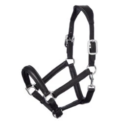 LeMieux Leather Anatomic Headcollar - High-Quality Equestrian Gear -Sabandar Store fe13335033632a74b23833f17346f1e2.image .1200x1200