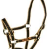 Vibrant Equestrian Halter -Sabandar Store halter 13553.1533555370