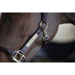 Kentucky Leather Anatomic Halter -Sabandar Store img 5049 0 96b328c8 50b2 4867 b029 70a751425104