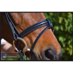 Kentaur 'Classic' Bridle With Rubber Reins -Sabandar Store kentaur classic bridle with rubber reins southern sport horses 4