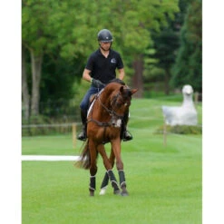 Kentucky Turnout Sheepskin Solimbra Hind -Sabandar Store kentucky turnout sheepskin solimbra hind dapple eq 3