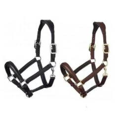 LeMieux Leather Anatomic Headcollar - High-Quality Equestrian Gear