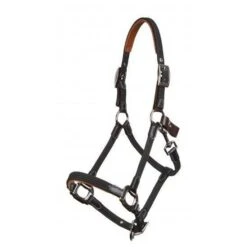 LeMieux Headcollar With Breakaway Feature