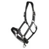 LeMieux Leather Control Headcollar 2 LeMieux Leather Control Headcollar -Sabandar Store lemieux leather control headcollar headcollar 4ce3bb11 306a 4b9f 9ae8 459041ee3d52