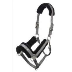 LeMieux Loire Headcollar *Discontinued* -Sabandar Store lemieux loire headcollar halter 3 7cced2c7 609c 43ea aaee 5e6ef77d8eb0