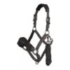 LeMieux Vogue Headcollar With Leadrope - Fleece Material -Sabandar Store lemieux vogue fleece headcollar with leadrope headcollar 5d767c11 7924 448d a33a 144f11253a58