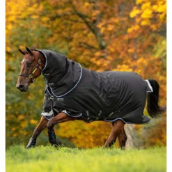 Medium Horseware Amigo Bravo 12 Plus Rug