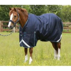 Navy PEI Titan 200g Turnout Rug With Detachable Neck - High-Quality Equestrian Product -Sabandar Store navy pei titan 200g turnout rug with detachable neck high quality equestrian product vivarchie equestrian 4