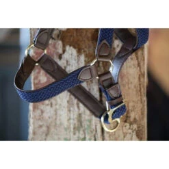 Kentucky Plaited Nylon Halter -Sabandar Store nylon halter 7 87539807 87df 454b b889 b85dd7387115