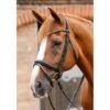 Premier Equine Bellissima Bridle With Diamante Brow Band -Sabandar Store premier equine bellissima bridle with diamante brow band southern sport horses