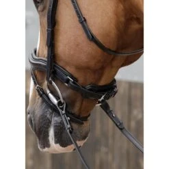 Premier Equine Favoloso Anatomic Bridle -Sabandar Store premier equine favoloso anatomic bridle southern sport horses 3