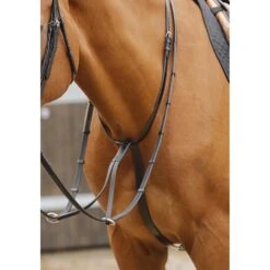 Premier Equine Fuscaldo Running Martingale