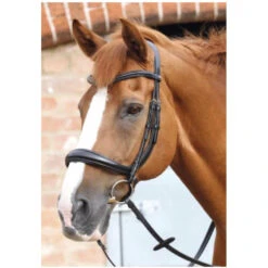 Premier Equine Lambro Anatomic Bridle With Crank Noseband
