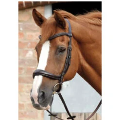 Premier Equine Lambro Anatomic Bridle With Crank Noseband -Sabandar Store premier equine lambro anatomic bridle with crank noseband southern sport horses 3