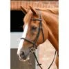 Premier Equine Mossimo Cavesson Bridle -Sabandar Store premier equine mossimo cavesson bridle southern sport horses