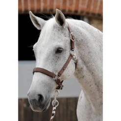 Premier Equine Plain Padded Headcollar -Sabandar Store premier equine plain padded headcollar headcollar 4 dc3c0ca4 d8a4 4fda 8081 e6f655f10720