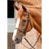 Premier Equine Primo Hunter Bridle -Sabandar Store premier equine primo hunter bridle southern sport horses