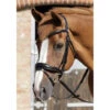 Premier Equine Rizzo Anatomic Bridle With Flash -Sabandar Store premier equine rizzo anatomic bridle with flash southern sport horses