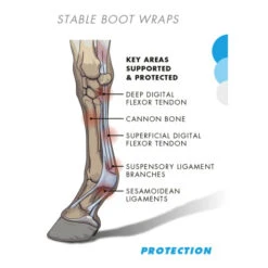 Premier Equine Stable Boot Wraps -Sabandar Store premier equine stable boot wraps southern sport horses 3