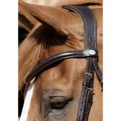 Premier Equine Verdura Anatomic Snaffle Bridle -Sabandar Store premier equine verdura anatomic snaffle bridle southern sport horses 3