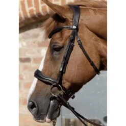 Premier Equine Verdura Anatomic Snaffle Bridle -Sabandar Store premier equine verdura anatomic snaffle bridle southern sport horses 4