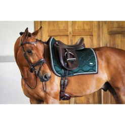 PSOS Dressage Saddle Pad Emerald - "Dreams Do Come True" -Sabandar Store psos dressage saddle pad emerald dreams do come true vivarchie equestrian 3