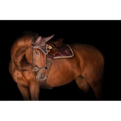 PSOS Ear Bonnet Wine -Sabandar Store psos ear bonnet wine vivarchie equestrian 3