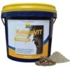 Shop Kelato's High-Quality Equine Supplement - Kelatovit Powder -Sabandar Store shop kelatos high quality equine supplement kelatovit powder southern sport horses