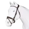 The Acavallo Poesia Bridle For Equestrian Enthusiasts 1 The Acavallo Poesia Bridle For Equestrian Enthusiasts -Sabandar Store the acavallo poesia bridle for equestrian enthusiasts southern sport horses